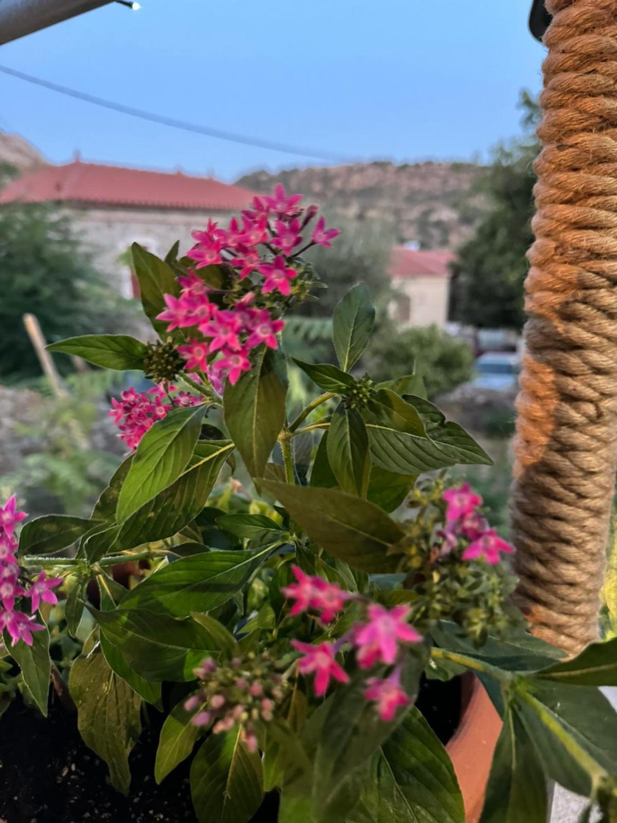 Afroditi'S 1 Ερεσός Εξωτερικό φωτογραφία