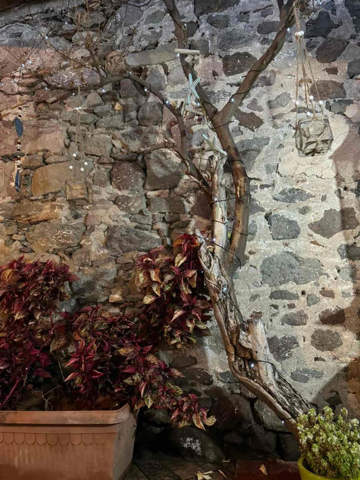 Afroditi'S 1 Ερεσός Εξωτερικό φωτογραφία